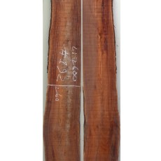 참죽 192번 24~30x260(평균폭)x2300