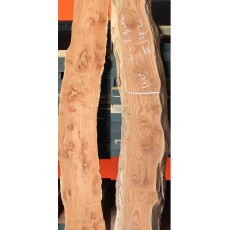 참죽142번 24~30x125(평균폭)x2300