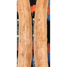 참죽145번 24~30x232(평균폭)x2300