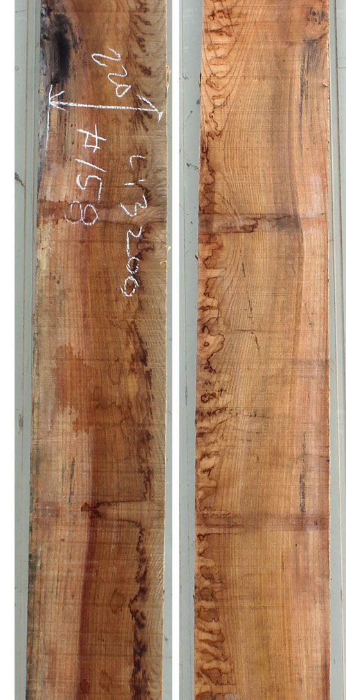 느티나무 158번 36~40x238(평균폭)x3200